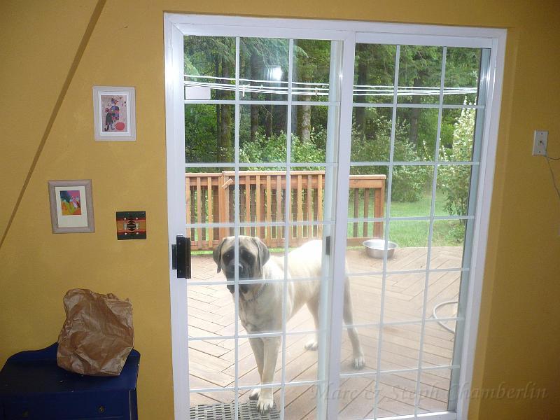 p1000890.jpg - Patio door off utility room. That's Laika looking in.
