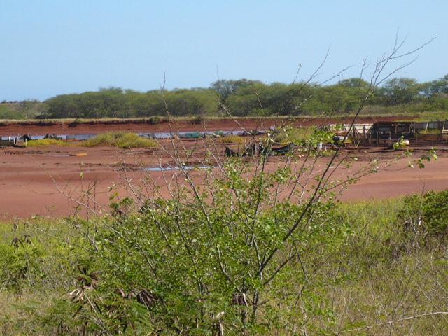 P1010630.JPG