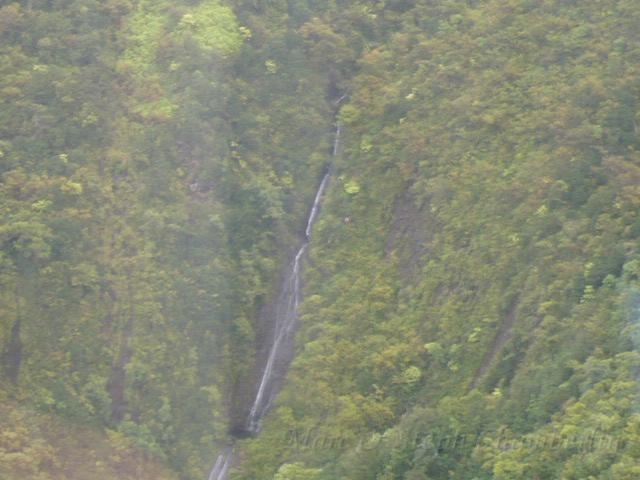 P1010683.JPG
